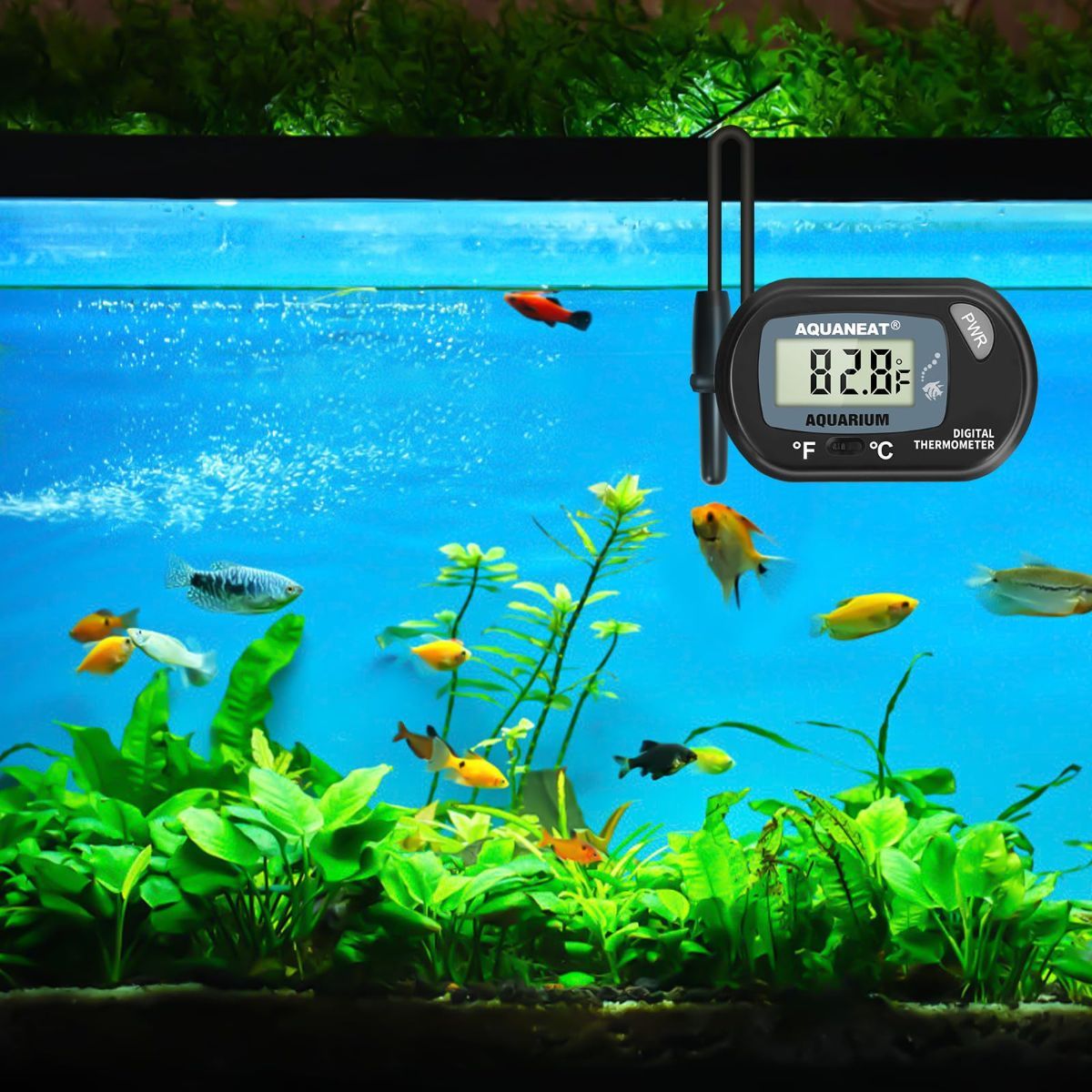 Aquarium Thermometer, Fish Tank Thermometer, Digital Temperature Test, with Large LCD Display (1 Pack)