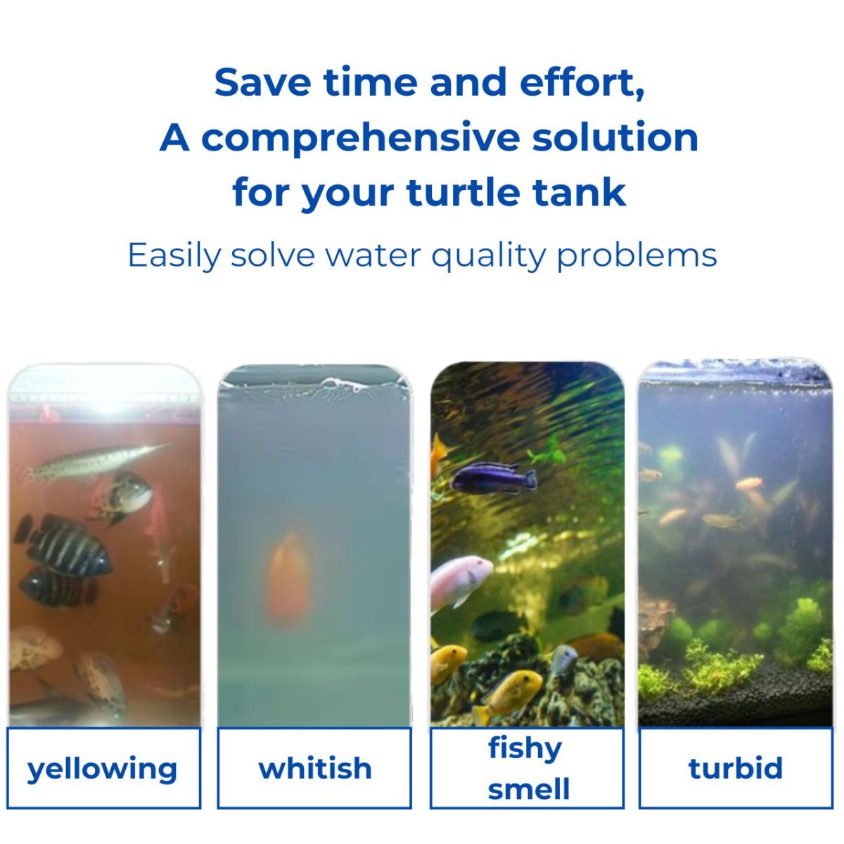 Fish Feeding Box Ring for Turtle with Filter Ball Set, Fish Feeder Ring and Nitrifying Ball, Betta Feeding Floating, Turtle Enrichment Toys, Floating Betta Food Holder (Clear，2Pcs） - Clear - Size M