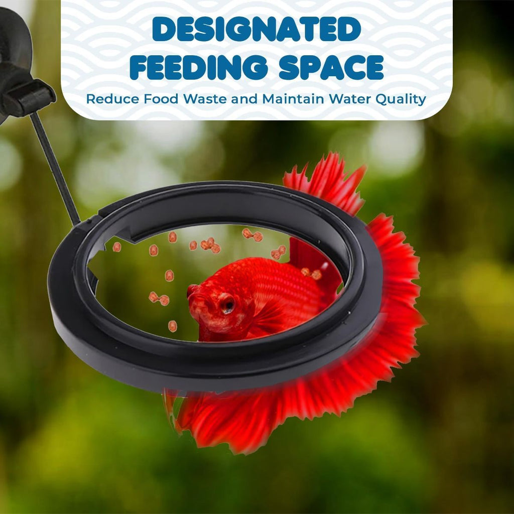 Betta Feeding Ring, Prevent Water Turbulence from Washing Food into Filter, Practical Round Floating Food, Suitable for Guppy, Goldfish and Other Small Fish (5 Pc)