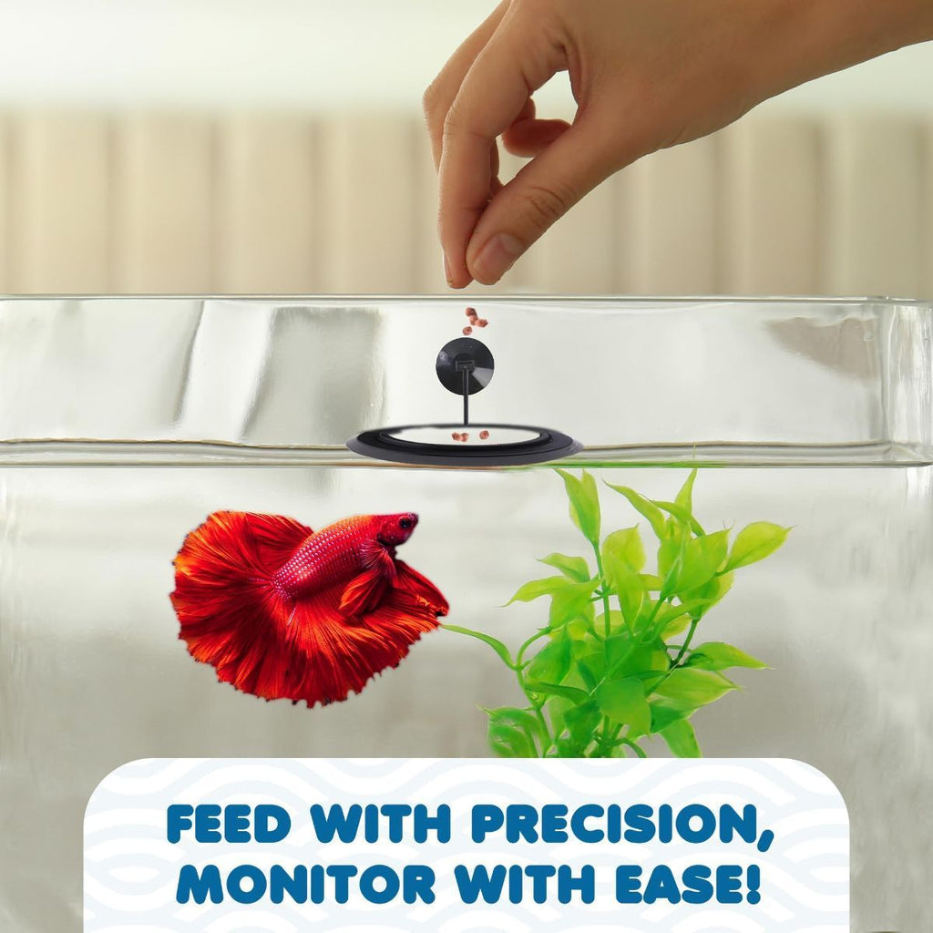 Betta Feeding Ring, Prevent Water Turbulence from Washing Food into Filter, Practical Round Floating Food, Suitable for Guppy, Goldfish and Other Small Fish (5 Pc)