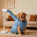 Dog Drying Bag for Quick Home Drying – Hassle-Free Grooming After Baths, L (Blue)