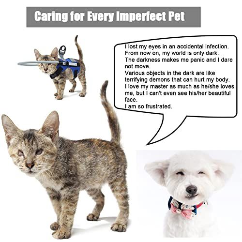 Blind Dog Ring,Adjustable Blind Dog Harness,Blind Dog Bumper to Protect Cats and Dogs with Blindness, Blurred Vision, Sick Eyes from Collision, M (Red)