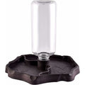 Pet Drinking Fountain, 2 In 1 Automatic Drinking Fountain Anti-Splash Turtle Lizard Reptile