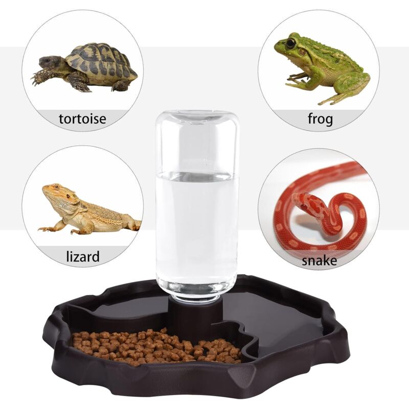 Pet Drinking Fountain, 2 In 1 Automatic Drinking Fountain Anti-Splash Turtle Lizard Reptile