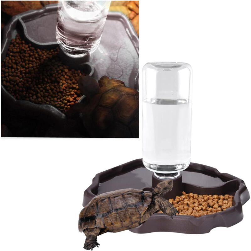 Pet Drinking Fountain, 2 In 1 Automatic Drinking Fountain Anti-Splash Turtle Lizard Reptile