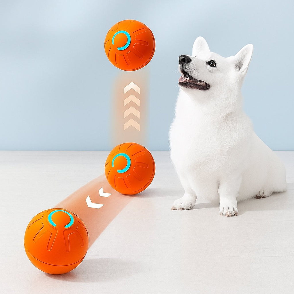 Pet Toys - Dog Toys - Interactive Dog Toys - Automatic Moving, Bouncing and Rotating Dog Ball - IPX7 Waterproof - Active Rolling Ball for Small and Medium Dogs (Orange)