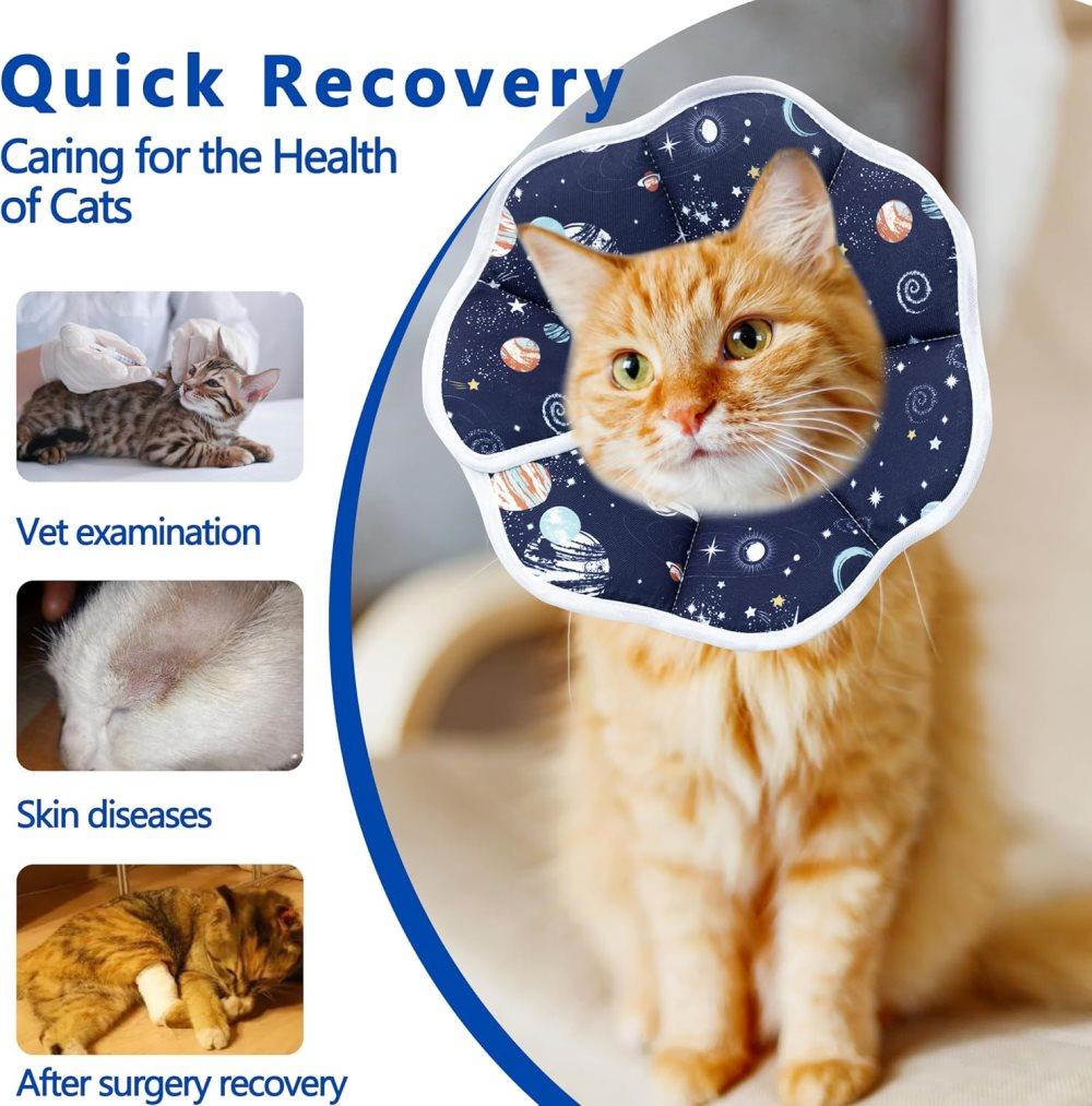 Adjustable Protective Collar for Cats and Dogs with Velcro, Compatible with Cats, M
