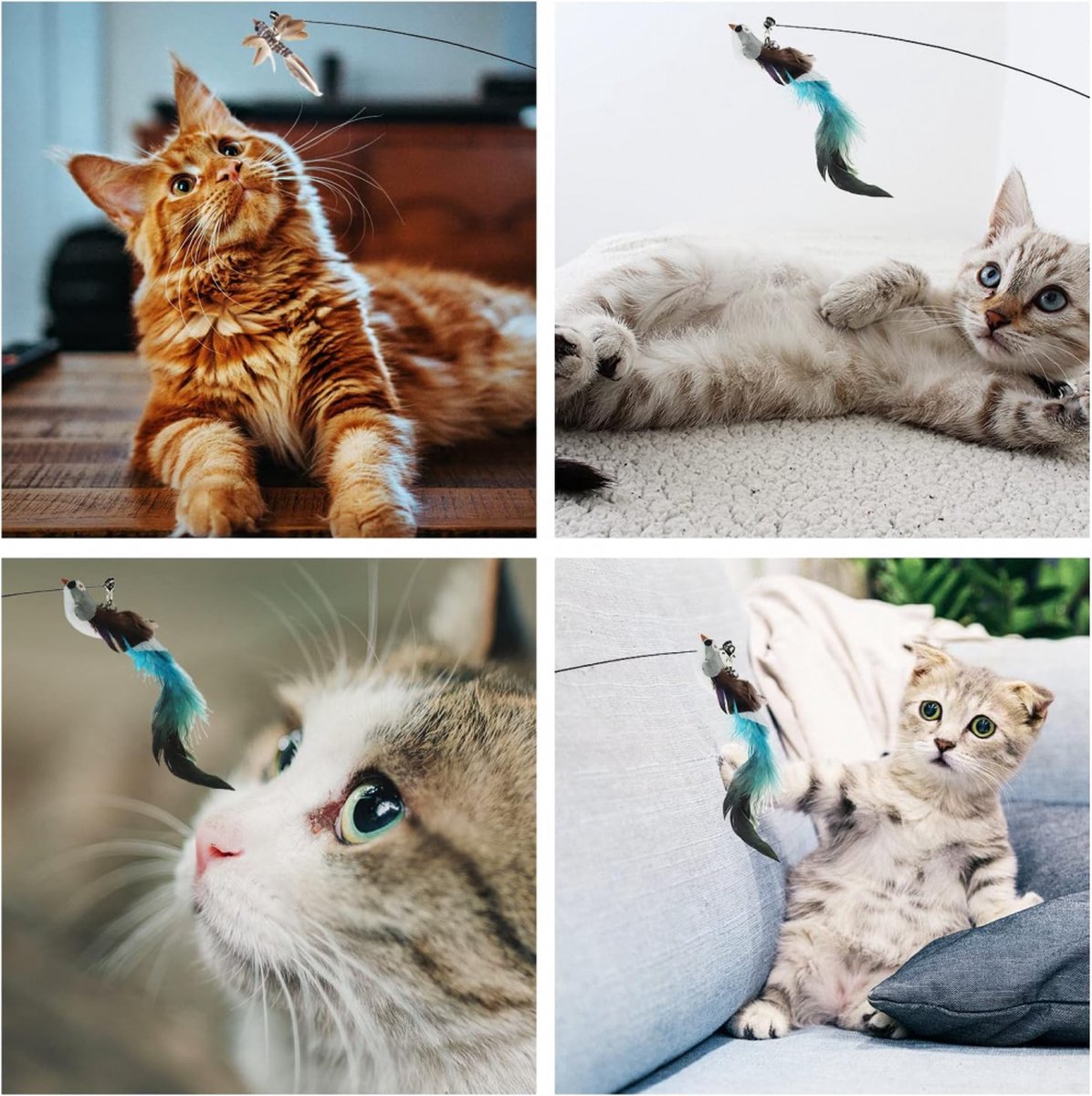 Toy Fishing Rod for Cats - Cat Play Rod - Cat Fishing Rod - 2 Extra Spring Heads - With Suction Cup Base - Interactive Cat Toy - Cat Toy - Cat Toys - Cat Troublemaker - Cat Toys