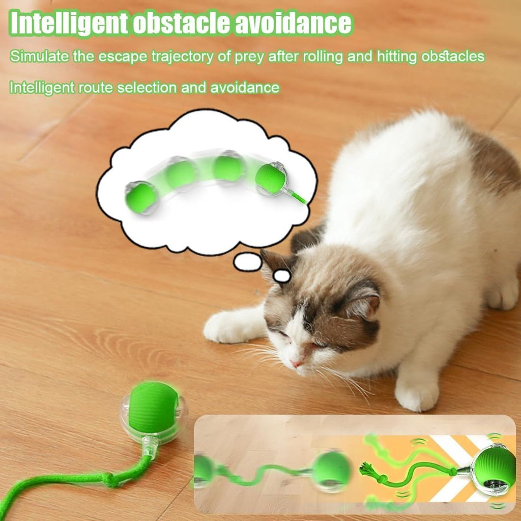 Electric Cat Ball Toy - Cat Toys - Electric Toy Ball - Pet Toys - Smart Toy Ball - Automatic Rolling Cat Ball - Interactive Cat Toy - Rechargeable - Cat Ball for Play and Interaction - Green