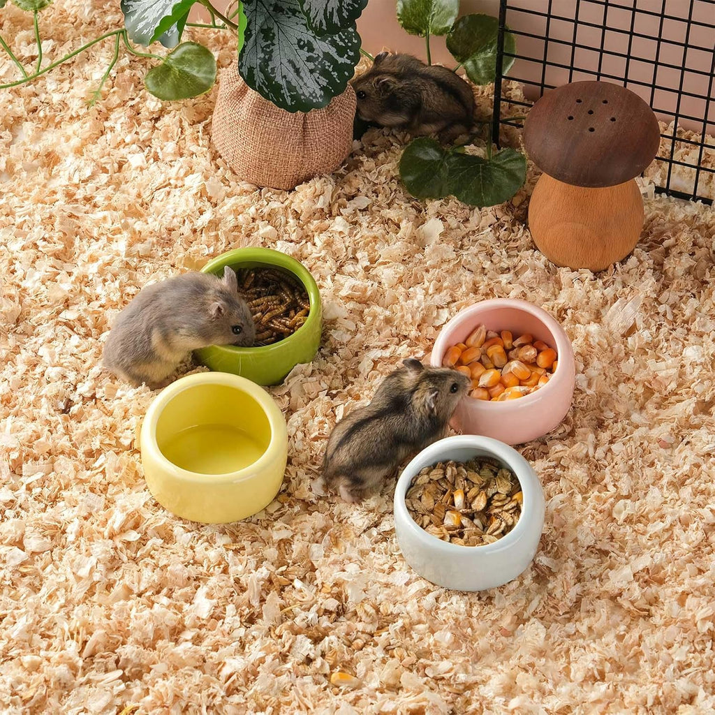 4 Pack Small Hamster Food Bowl Ceramic Guinea Pig Food Dish No Spill Hamster Food and Water Bowl Small Animal Food Bowl for Chinchilla Hedgehog Hamster Gerbil - Pink Blue Yellow and Green