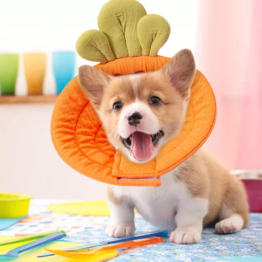 Pet Cone Collar - Soft - Prevents Licking and Biting - Carrot - Small - 1st