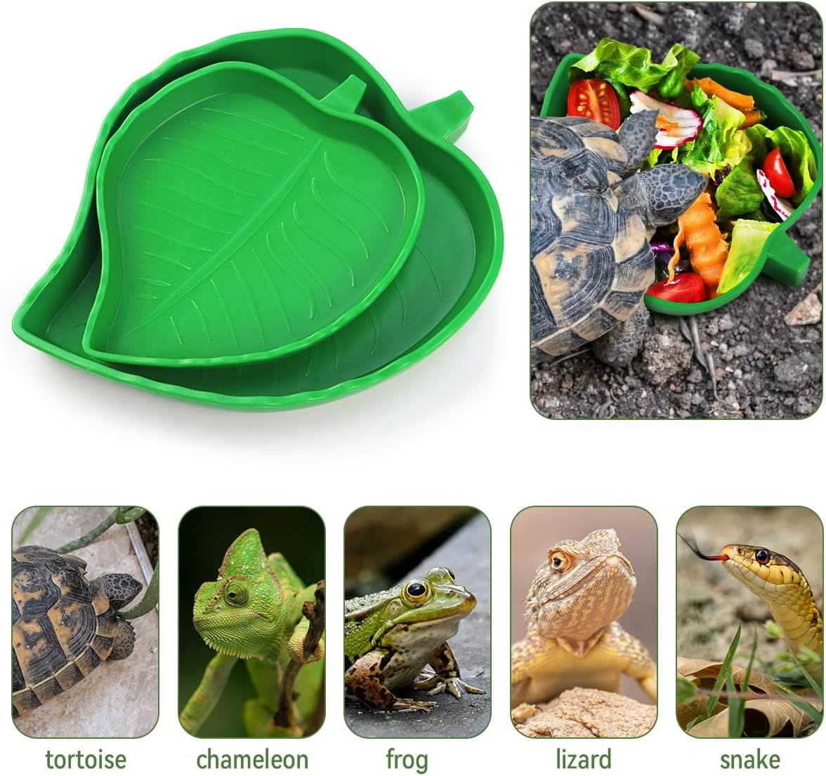 2 Pack Leaf Shaped Reptile Food and Water Bowls, Shallow Feeding Dishes for Tortoises, Lizards, Small Snakes and Bearded Dragons