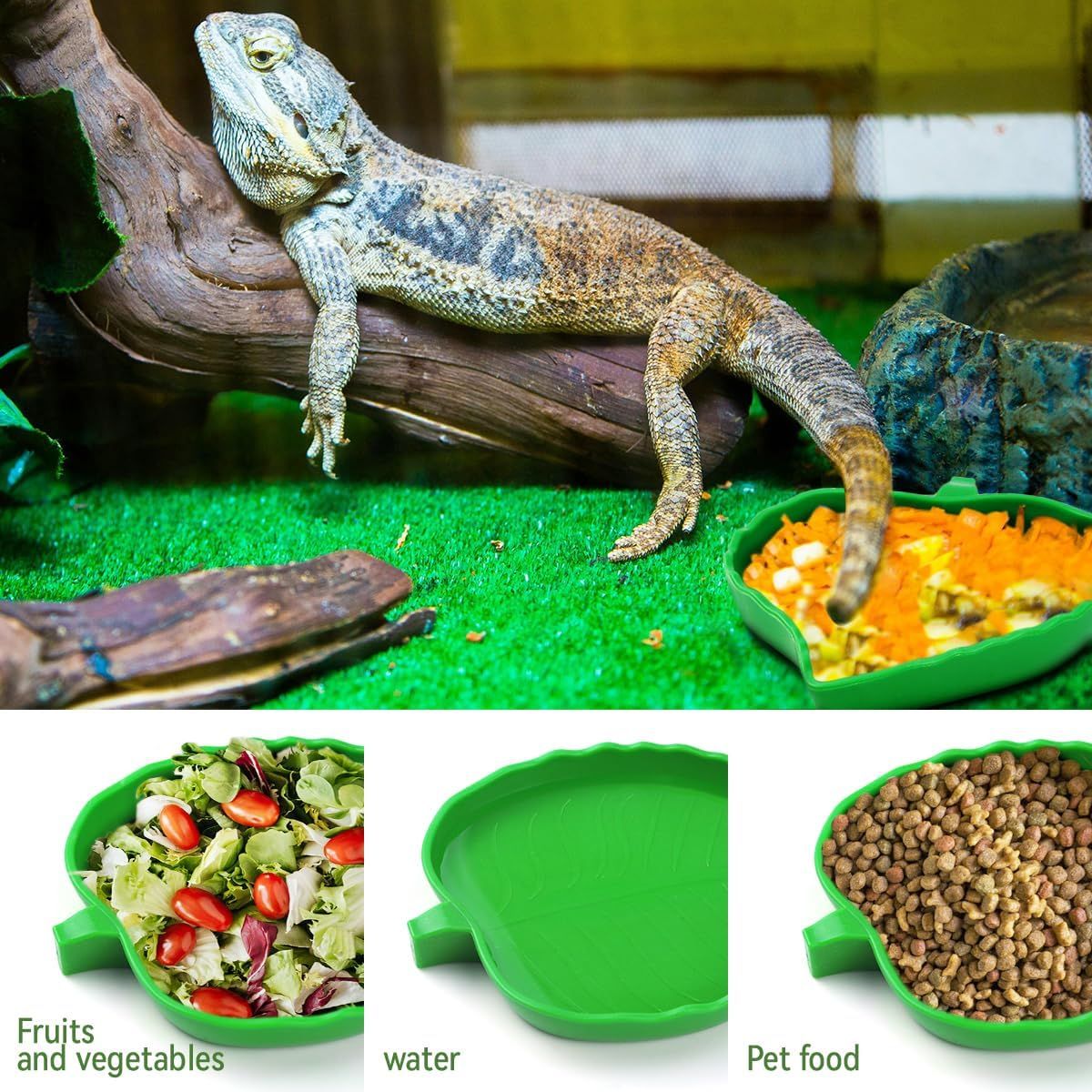 2 Pack Leaf Shaped Reptile Food and Water Bowls, Shallow Feeding Dishes for Tortoises, Lizards, Small Snakes and Bearded Dragons