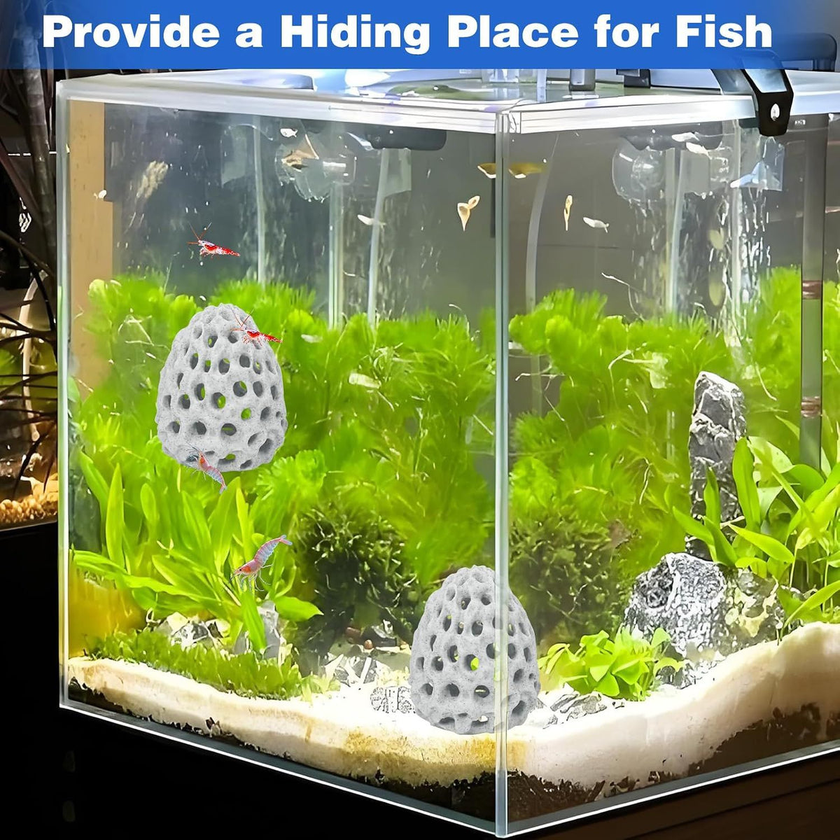 2 Pack Shrimp Dome Aquarium Caves, Suction Cup Fish Tank Hideouts for Shrimp, Bettas and Guppies to Rest, Hide and Breed, White