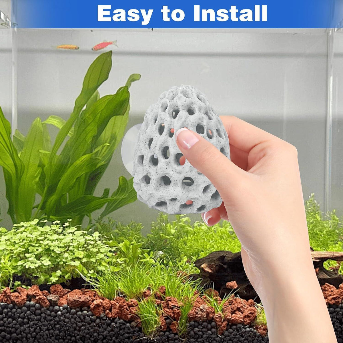 2 Pack Shrimp Dome Aquarium Caves, Suction Cup Fish Tank Hideouts for Shrimp, Bettas and Guppies to Rest, Hide and Breed, White