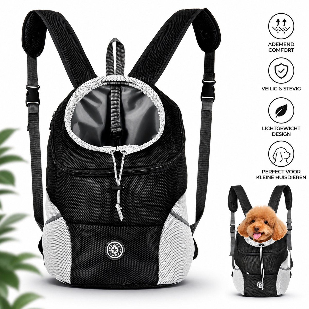 Pet Carrier Backpack with Breathable Mesh Panels, Safety Strap and Adjustable Shoulder Straps for Small Dogs and Cats, Black, Size M