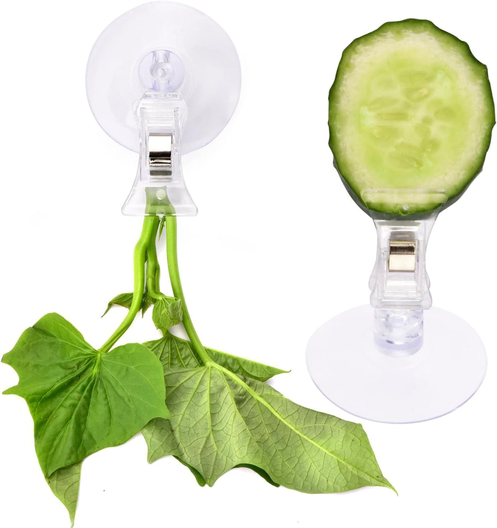 Aquarium Seaweed Fish Food Holder Clips, 12 Piece Suction Cup Veggie Clips for Fish Tank Feeding, Clear, for Safe Pet Grooming and Care