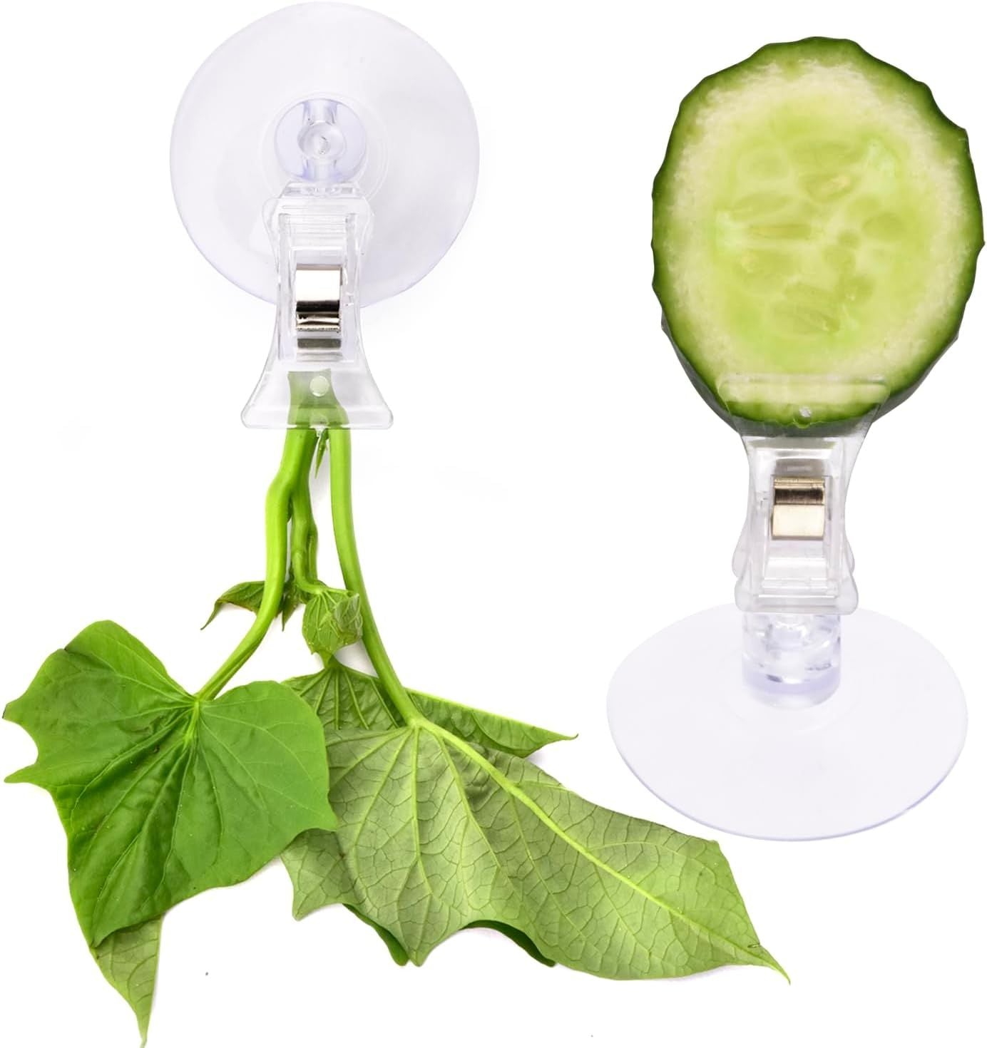 Aquarium Seaweed Fish Food Holder Clips, 12 Piece Suction Cup Veggie Clips for Fish Tank Feeding, Clear, for Safe Pet Grooming and Care