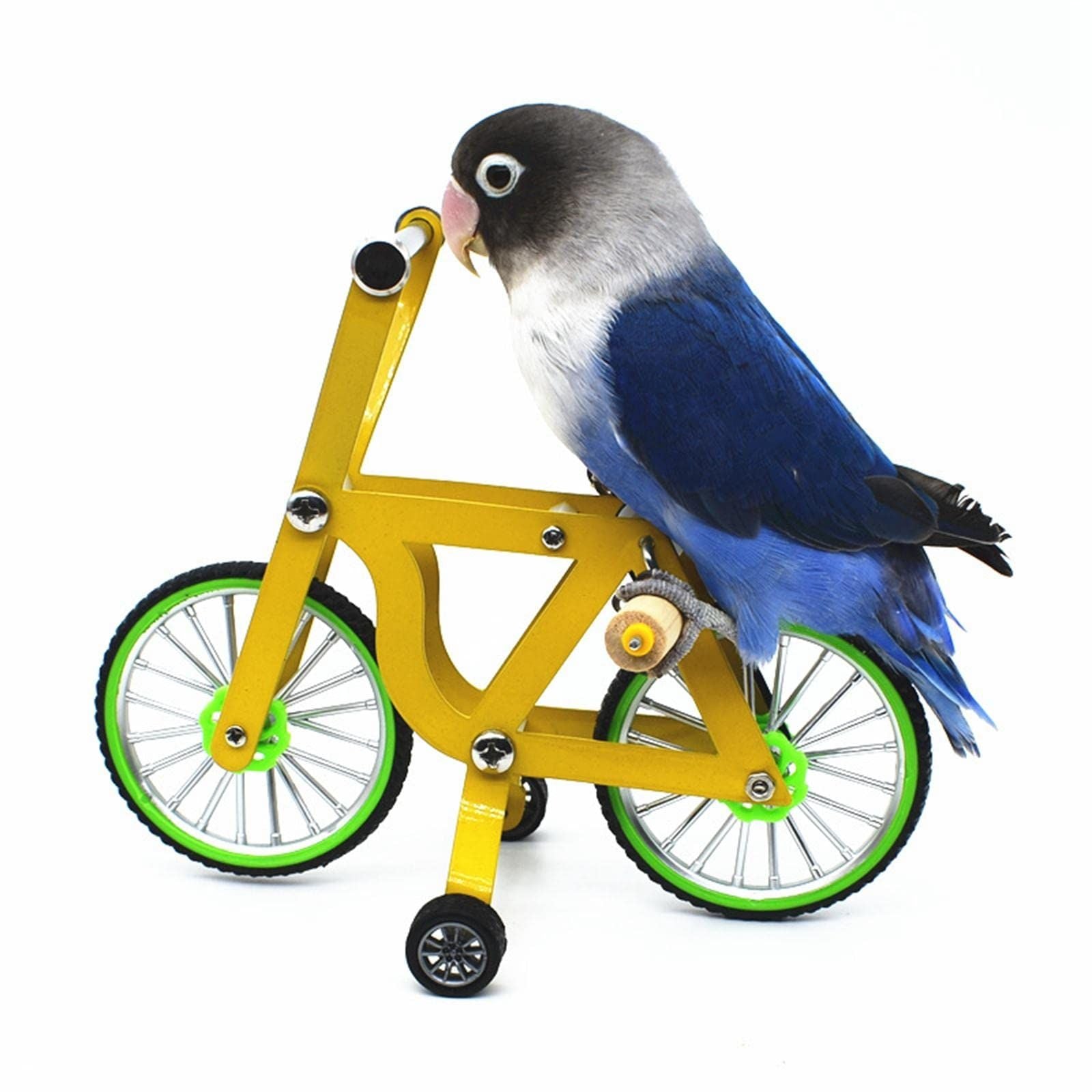 Bird Intelligence Training Toy for Small Medium Birds - Parrot Puzzle Bicycle & Table Top Trick Prop - Foot Talon Toy for African Grey, Cockatoo & Conures（small size）