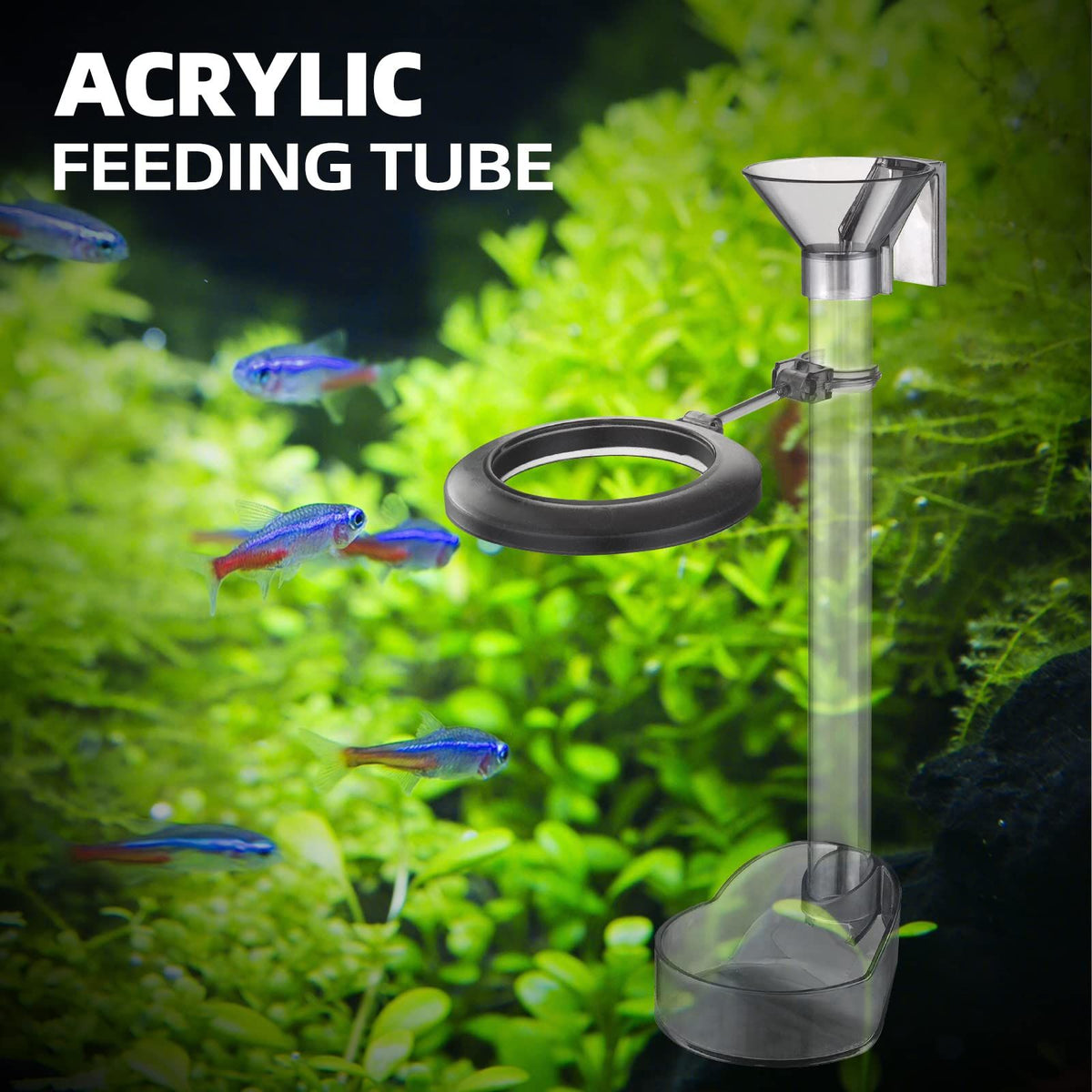 Shrimp Feeding Dish Set, Aquarium Fish Feeder Tube Kit Clear Durable Fish Shrimp Feeding Tube with Feeding Ring