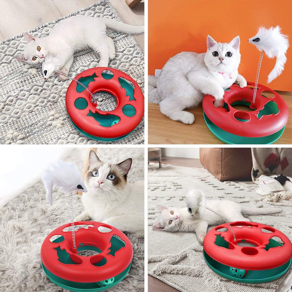 Cat Toys, Cat Toys for Indoor Cats,Interactive Kitten Toys Roller Tracks with Catnip Spring Pet Toy with Exercise Balls Mouse