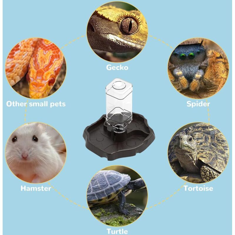 Water Bowl for Reptiles with Bottle Geckos, Snakes Lizards, Dispenser Scorpions. Bowl for Tortoises, 2 in