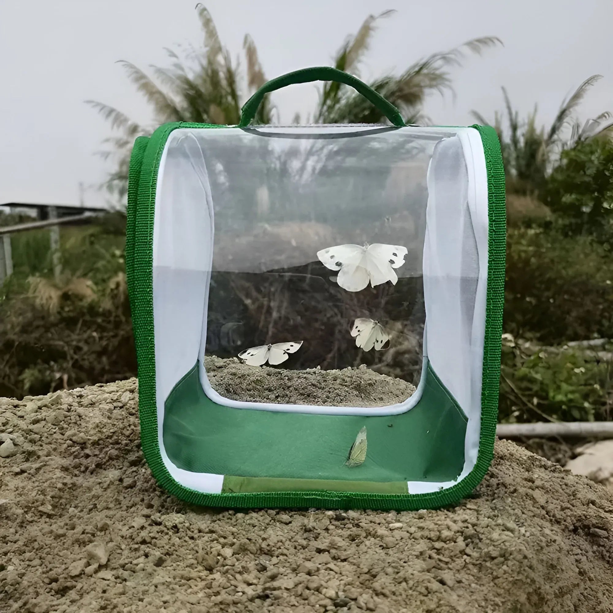 1 Pc Green Butterfly Kit With Live Caterpillars, Portable Foldable Insect Habitat Cage and Butterfly House