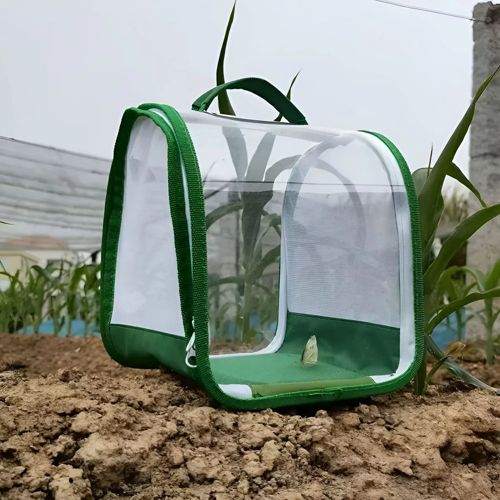 1 Pc Green Butterfly Kit With Live Caterpillars, Portable Foldable Insect Habitat Cage and Butterfly House