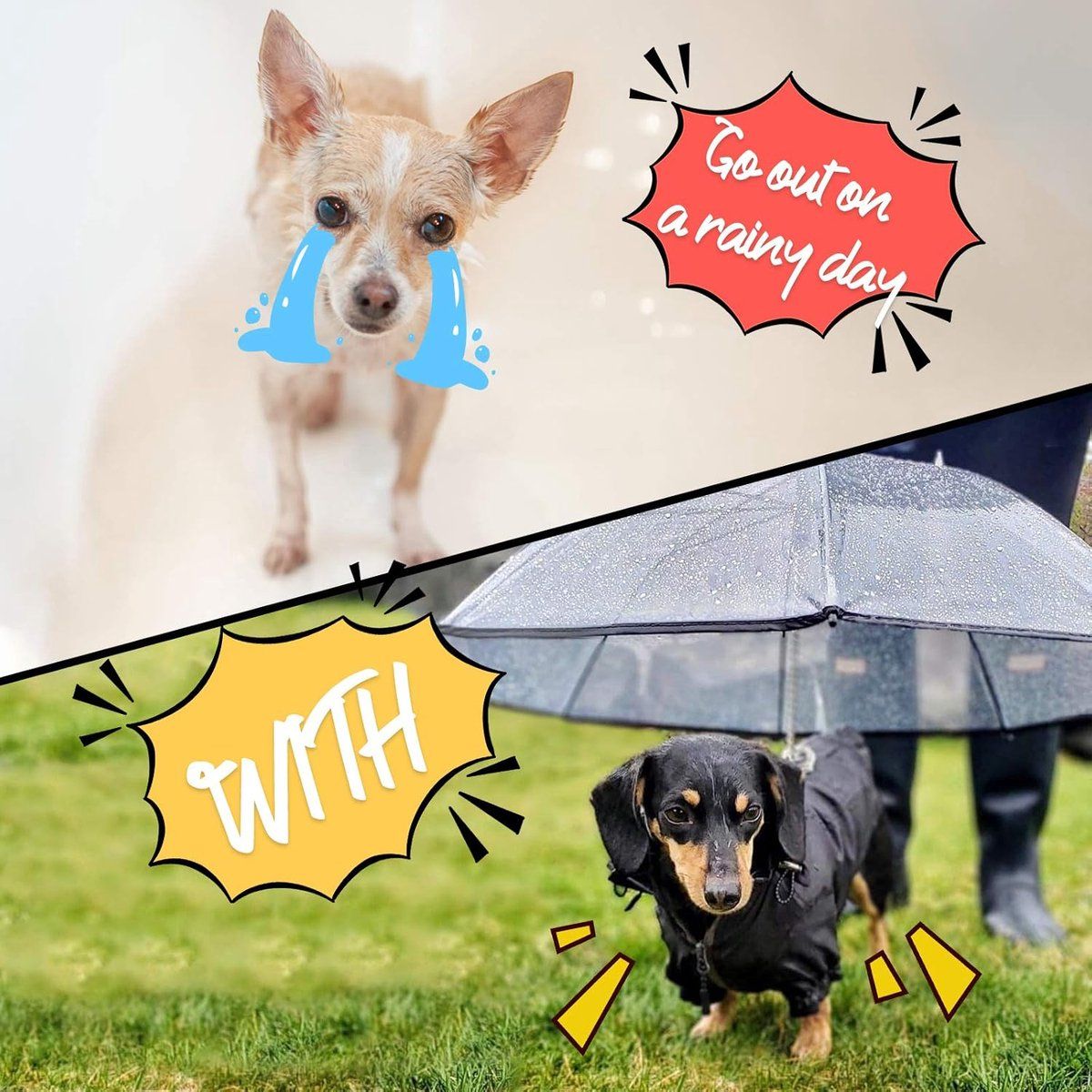 Dog Umbrella with Leash for Small Dogs, Detachable Pet Umbrella with Ergonomic Handle, Rain and Wind Protection, for Pets up to 50 cm