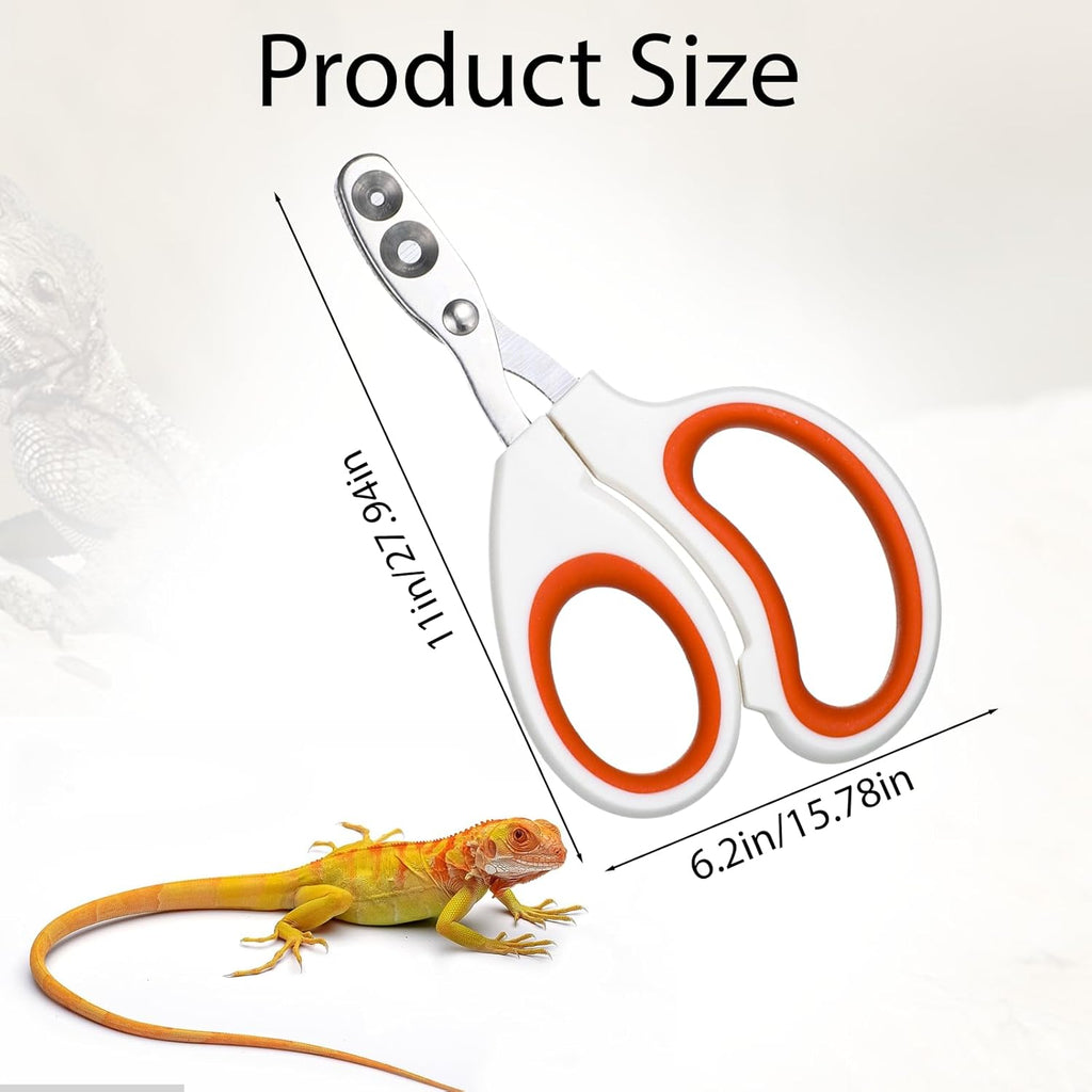 Vin Beauty Bearded Dragon Nail Clippers, Stainless Steel Lizard Nail Clippers, Bearded Dragon Supplies, Bearded Dragon Nail Scissors for Small Reptiles, Turtle, Chameleon, Lguana, Hedgehog