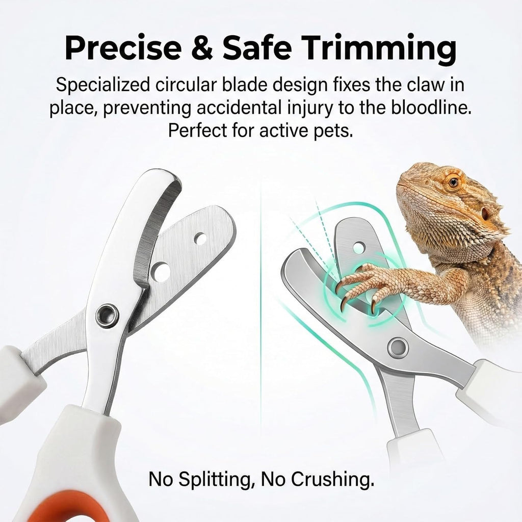 Vin Beauty Bearded Dragon Nail Clippers, Stainless Steel Lizard Nail Clippers, Bearded Dragon Supplies, Bearded Dragon Nail Scissors for Small Reptiles, Turtle, Chameleon, Lguana, Hedgehog