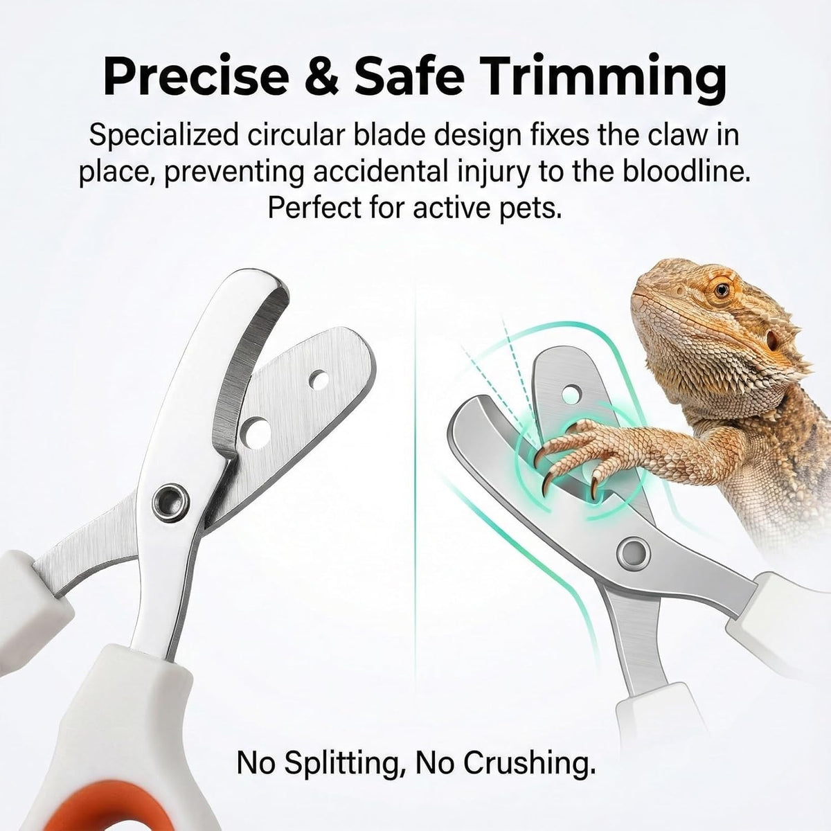Vin Beauty Bearded Dragon Nail Clippers, Stainless Steel Lizard Nail Clippers, Bearded Dragon Supplies, Bearded Dragon Nail Scissors for Small Reptiles, Turtle, Chameleon, Lguana, Hedgehog