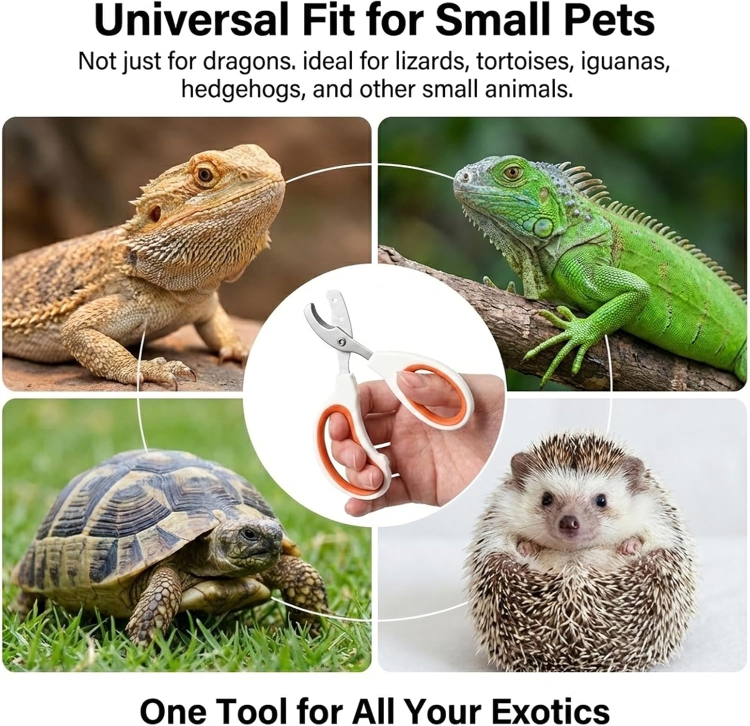 Vin Beauty Bearded Dragon Nail Clippers, Stainless Steel Lizard Nail Clippers, Bearded Dragon Supplies, Bearded Dragon Nail Scissors for Small Reptiles, Turtle, Chameleon, Lguana, Hedgehog