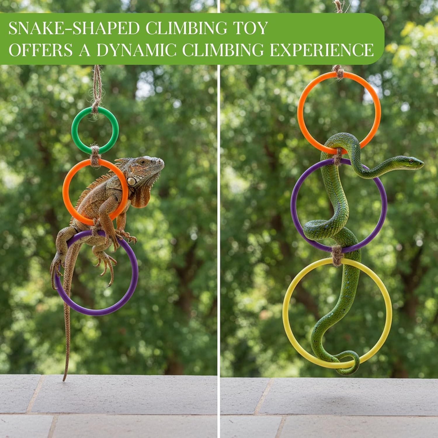 2 Pcs Snake Climbing Rings Snake Enrichment Toys for Ball Python Ball Python Tank Accessories, Reptile Enclosure Accessories Reptile Tank Accessory for Bearded Dragon, Chameleon, Lguana, Gecko, Lizard