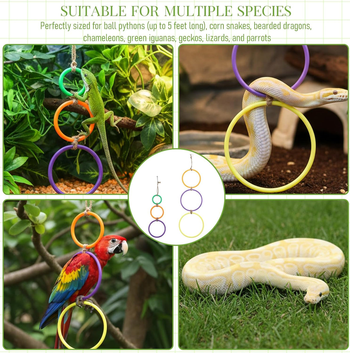 2 Pcs Snake Climbing Rings Snake Enrichment Toys for Ball Python Ball Python Tank Accessories, Reptile Enclosure Accessories Reptile Tank Accessory for Bearded Dragon, Chameleon, Lguana, Gecko, Lizard