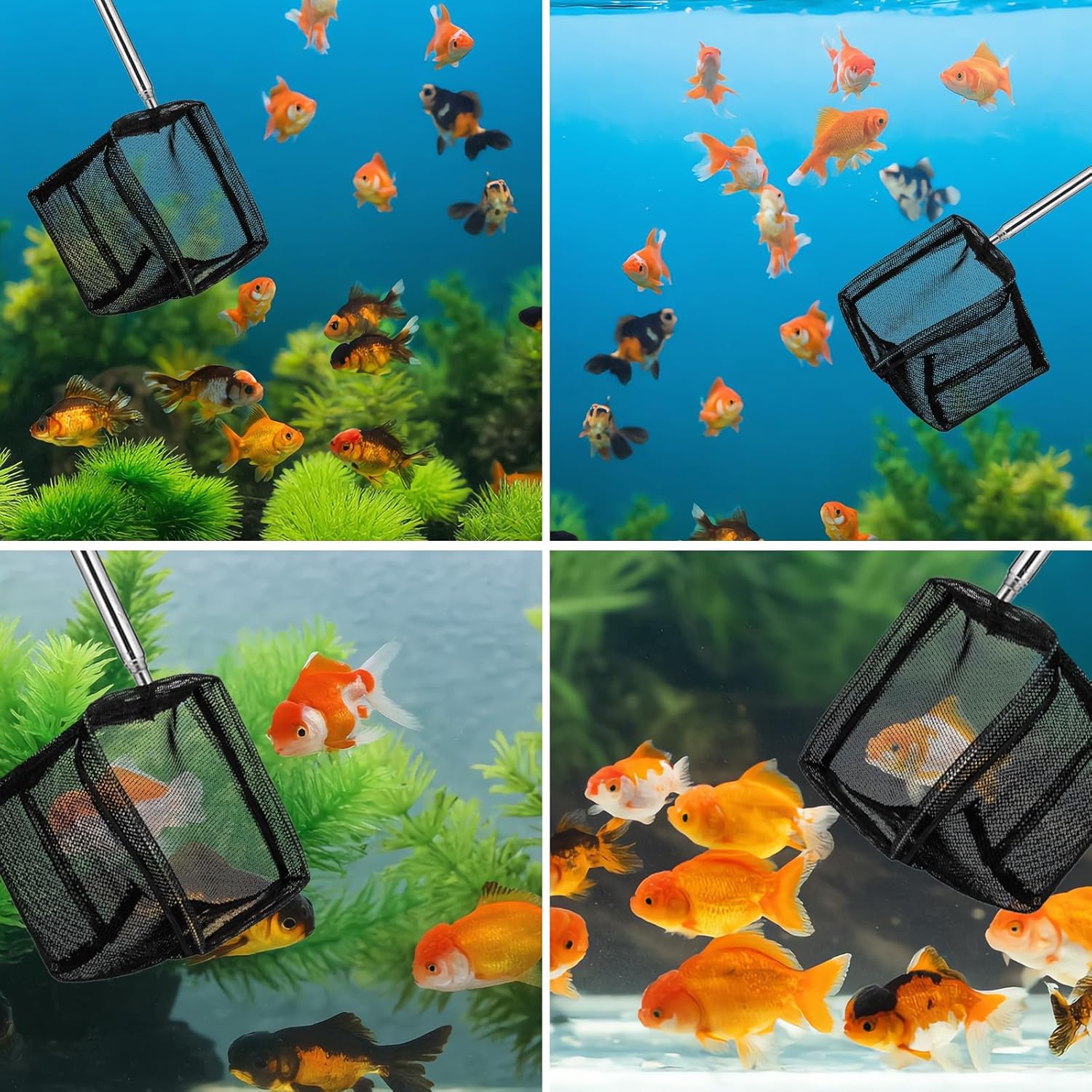 2 Pack 3 Inch Aquarium Net Small Fish Net Black Aquarium Shrimp Nets with Extendable Stainless Steel Handle Fine Tank Tool Mesh for Shrimp, Baby Fish, Food Residue Debris Skimming