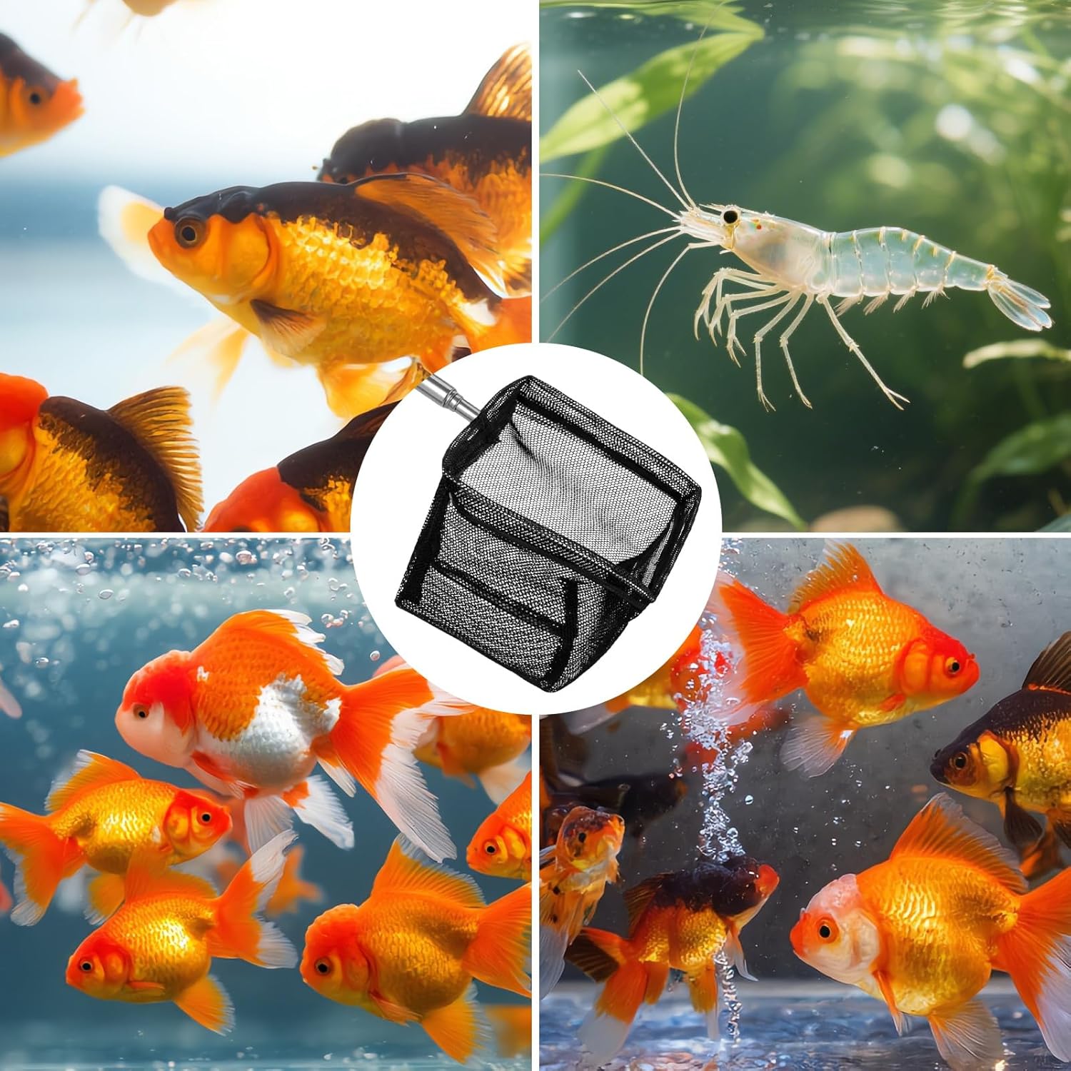 2 Pack 3 Inch Aquarium Net Small Fish Net Black Aquarium Shrimp Nets with Extendable Stainless Steel Handle Fine Tank Tool Mesh for Shrimp, Baby Fish, Food Residue Debris Skimming