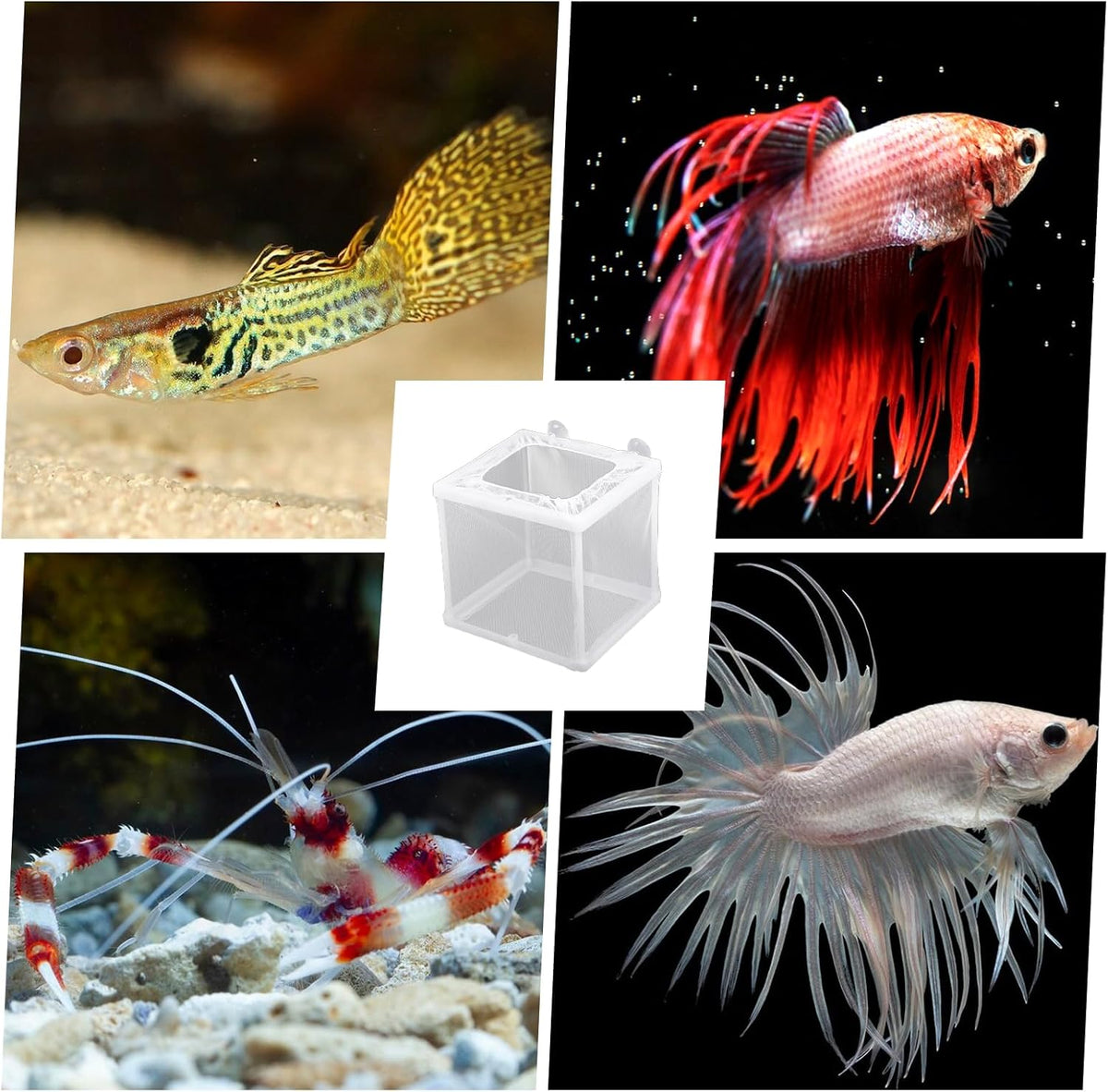 2 Pack Fish Incubator Mesh Box Aquarium, 6.3" x 5.51" x 5.91" Breeder Box for Fish Tank White Nylon Mesh Fishes Breeder Boxes for Aquarium Juvenile Fishes Separation Net Fry Hatchery with Suction Cups