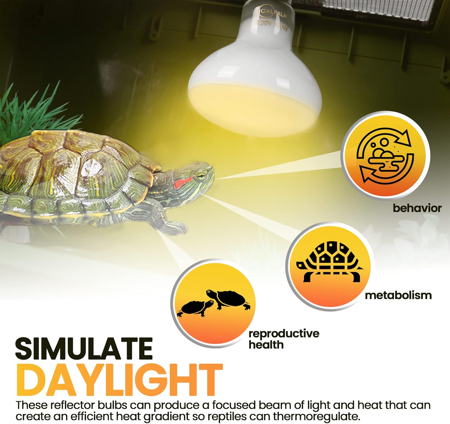 (4-Pack 100W Reptile Heat Lamp Bulbs - UVA Daylight Basking Light Bulbs for Reptiles, Turtles, Lizard, Bearded Dragon and Amphibians - 120V R80 Reflector Bulbs with E26 Screw Cap Base