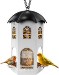 Metal Bird Feeder for Outdoor Hanging, Wild Bird Feeders with Circular Perch, Squirrel Proof Bird Feeder,Easy to Clean & Refill, Large Seed Capacity Birds Feeder