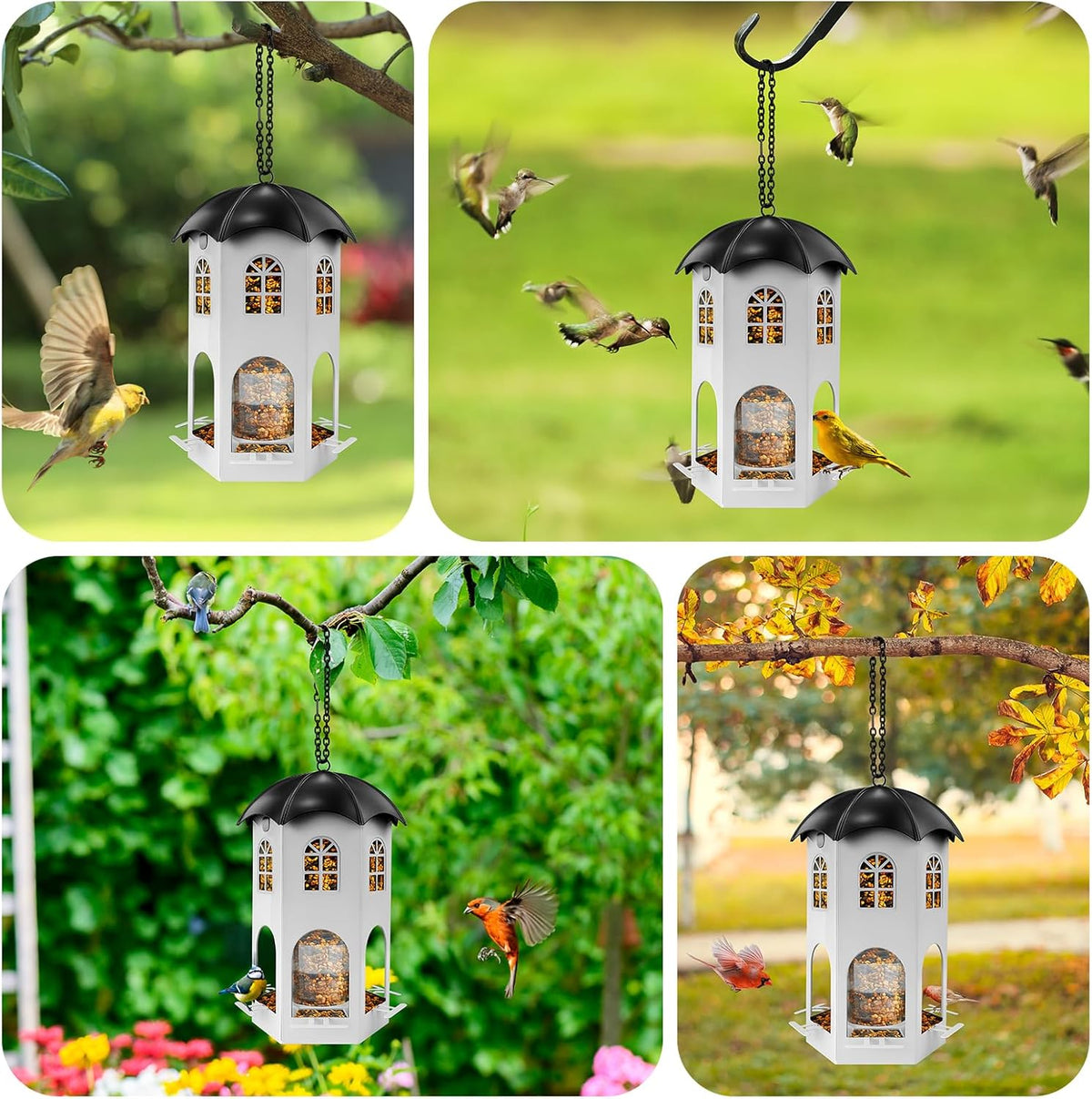 Metal Bird Feeder for Outdoor Hanging, Wild Bird Feeders with Circular Perch, Squirrel Proof Bird Feeder,Easy to Clean & Refill, Large Seed Capacity Birds Feeder