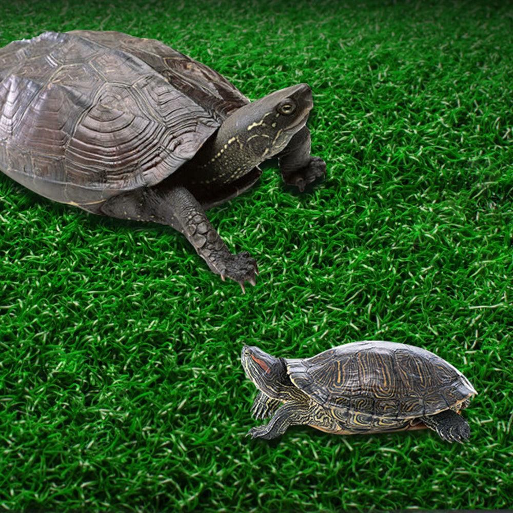Turtle Basking Platform Simulation Grass Turtle Ramp for Fish Tank Aquarium - L