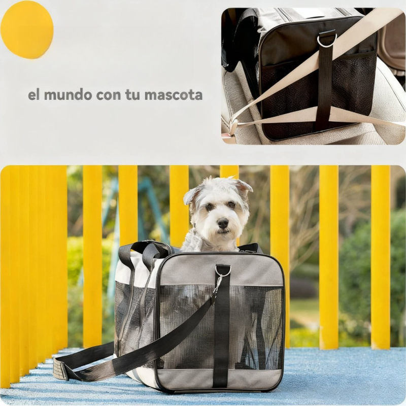 Foldable Breathable Pet Carrier Bag, Portable Shoulder Bag for Small Cat and Dog