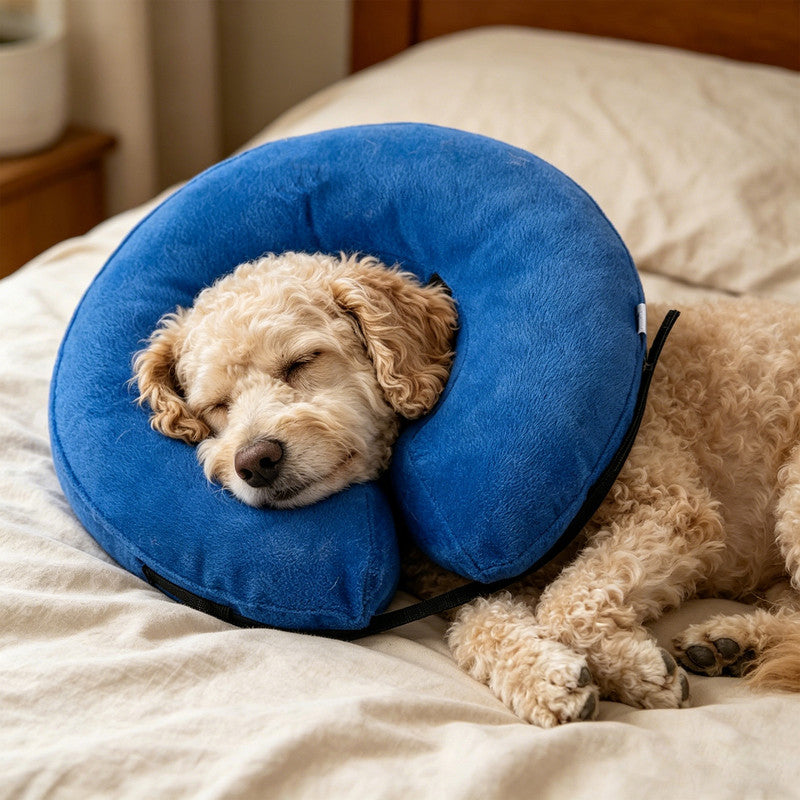 Inflatable Dog Cone Collar Alternative, Soft Dog Cone for Small Medium Large Dogs and Cats, Neck Recovery ECollar After Surgery,XL