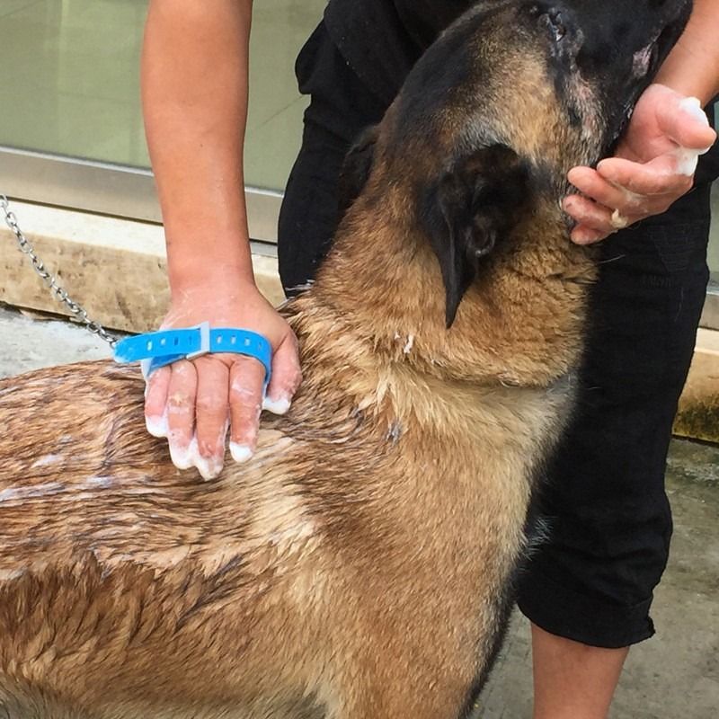 Multi-Functional Pet Shower Brush with Hose, Silicone Massage Sprayer for Dog Cat Bath Cleaning