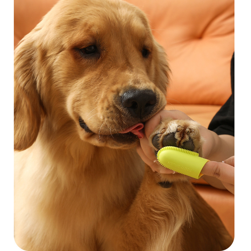 Pet Finger Toothbrush, Soft Silicone Dog and Cat Oral Cleaning Tool with Handle - Yellow