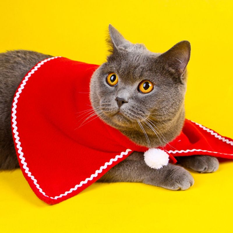 Pet Clothing Christmas Cloak Odd Pet L