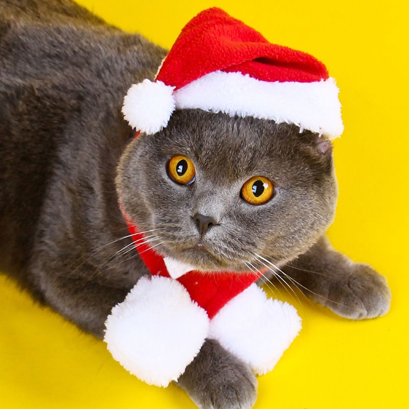 Pet Clothing Christmas Cloak Odd Pet L