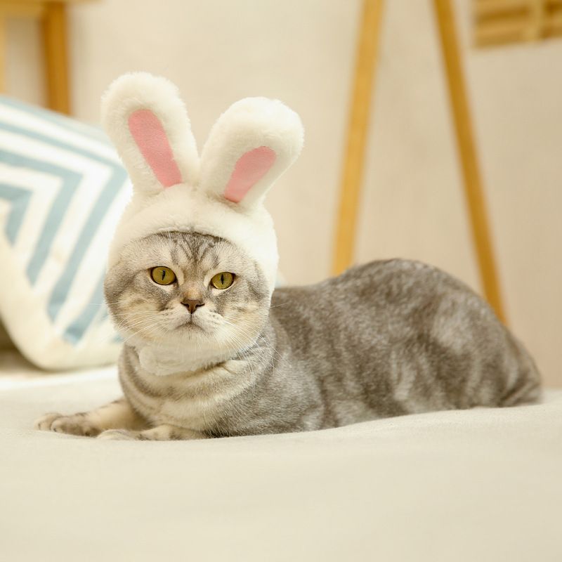 Pet Rabbit Ear Hat Huanya Polyester Cute Pet free size (size adjustable)