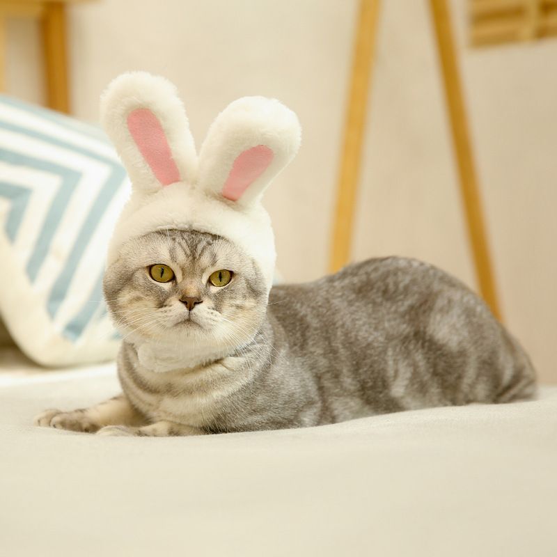 Pet Rabbit Ear Hat Huanya Polyester Cute Pet free size (size adjustable)